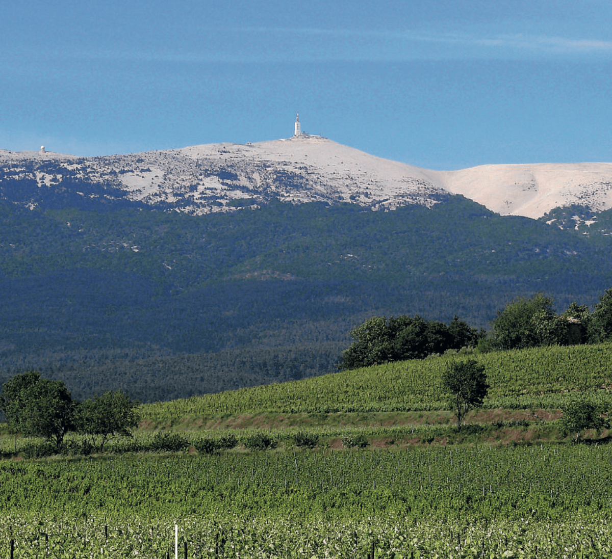 Le Parc naturel régional du Mont-Ventoux, sentinelle du changement climatique (GREC-Sud)